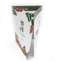 Guangzhou factory custom cheap tri-fold flyer / brochure / catalogue printing